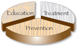 We believe in a 3-step approach to wellness: Education, Treatment and Prevention